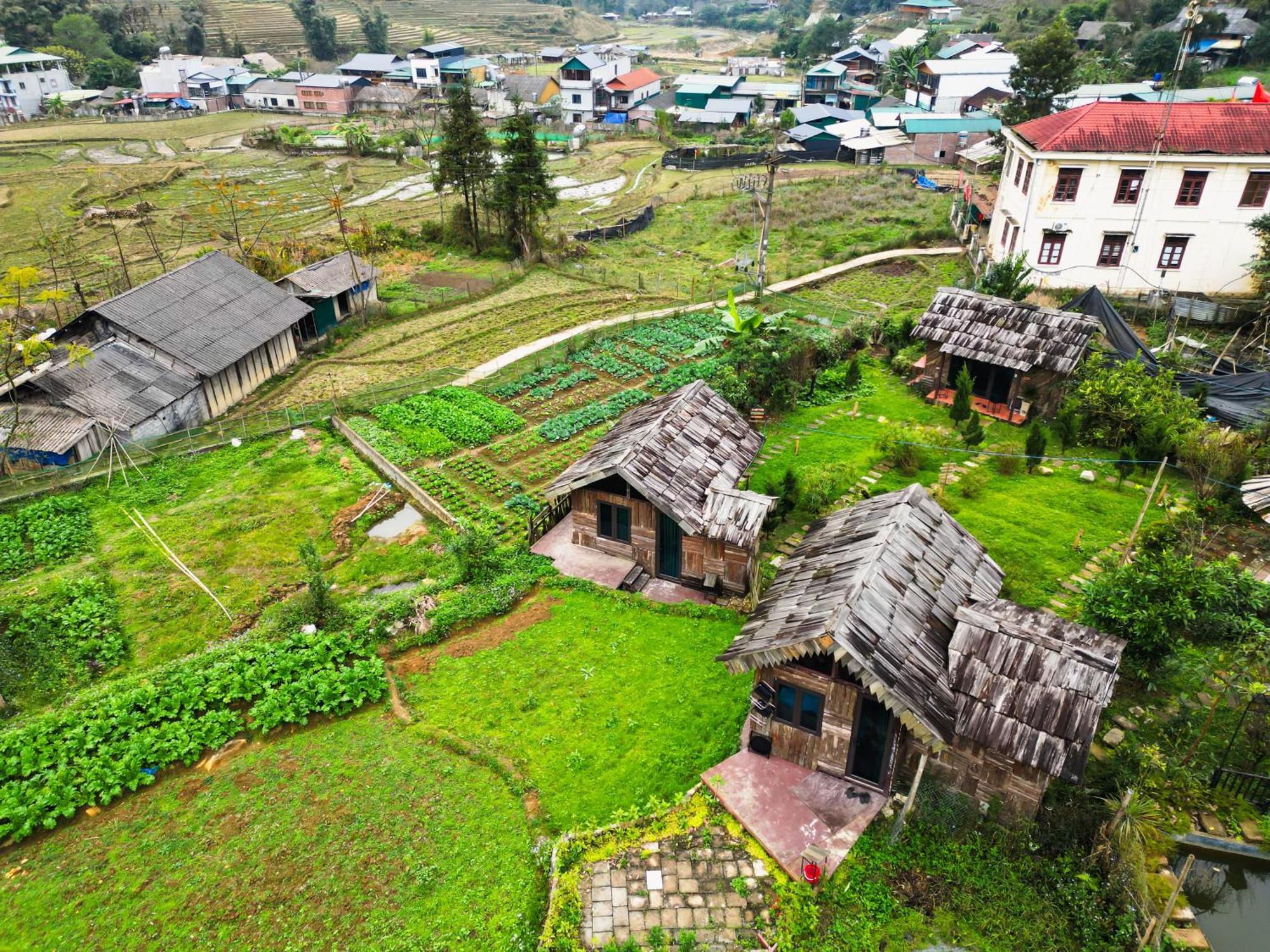 سابا Mina Eco Home المظهر الخارجي الصورة
